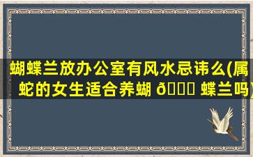 蝴蝶兰放办公室有风水忌讳么(属蛇的女生适合养蝴 🐟 蝶兰吗)